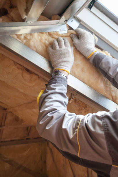 Best Insulation Installation Services in Rock Port, MO